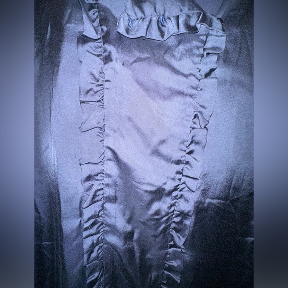 NWOT Zara Basic Women's Blue Silk Long Sleeve Ruffle Blouse Top Size Small - Picture 2 of 5